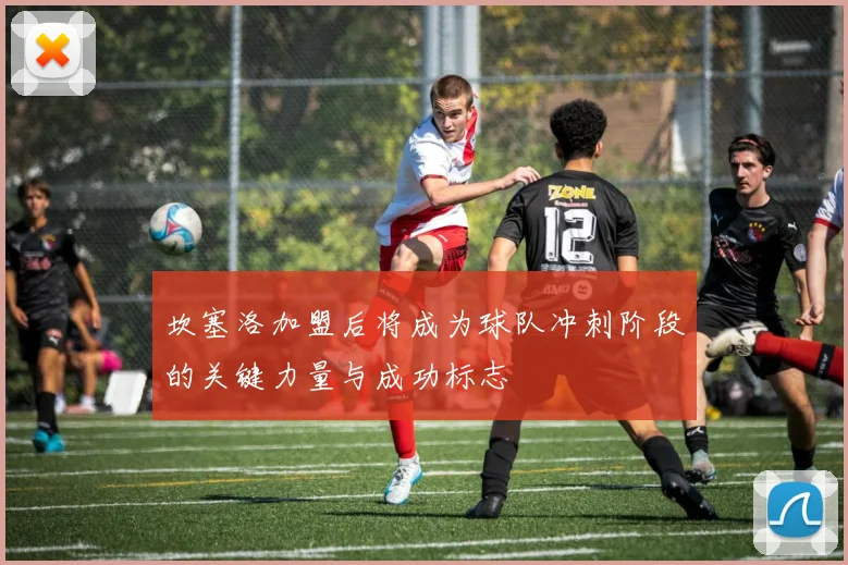 坎塞洛加盟后将成为球队冲刺阶段的关键力量与成功标志