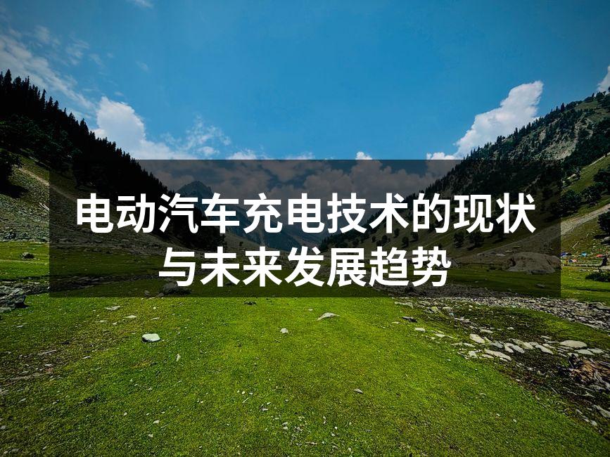 电动汽车充电桩的普及